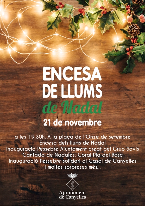 2019 11 21 encesallums cartell