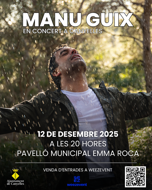 2025 12 12 manuguix