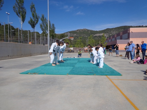 2013 06 01  Festa deEsport01