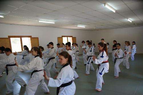 2015 04 18 StageTaekwondo 02