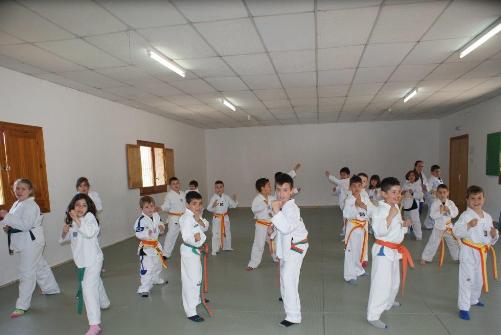 2015 04 18 StageTaekwondo 03