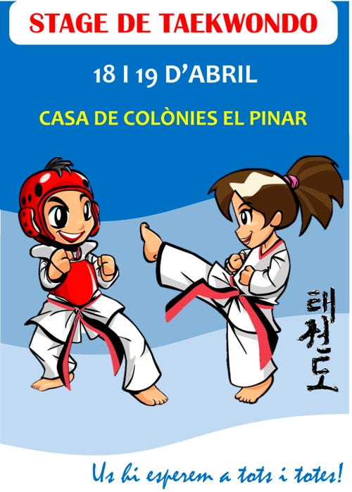 2015 04 18 Taekwondo