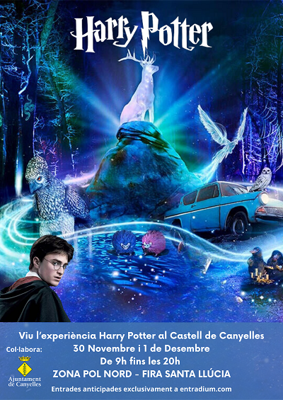 2024 11 30 harrypotter
