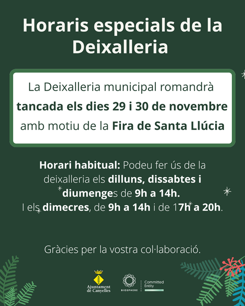 2025 11 28 deixallerianadal