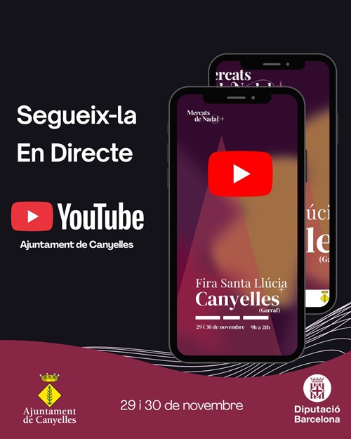 2025 11 29 youtube