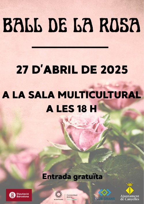 2025 04 27 balldelarosa