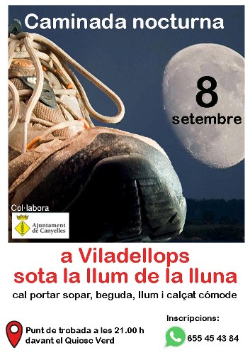 2017 09 5 caminadasetembrequioscverd