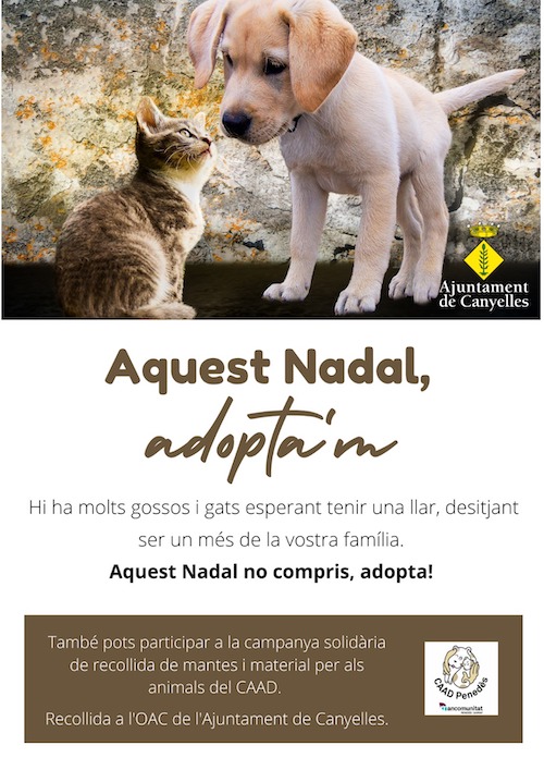 2020 12 campanyanadaladopcioanimals
