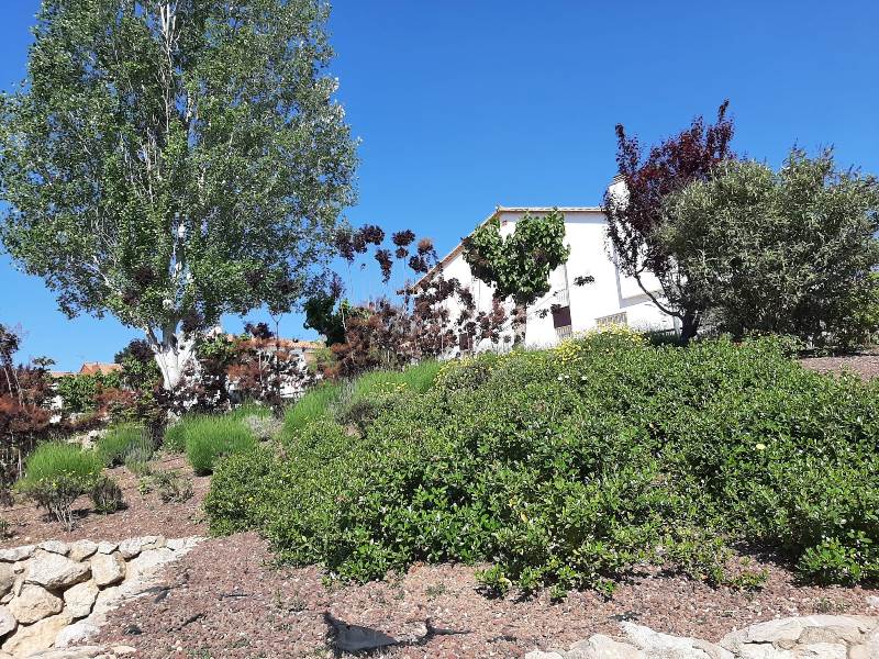 2022 05 11 visitavilesflorides1