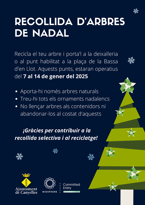 2025 01 recollidaarbresnadal