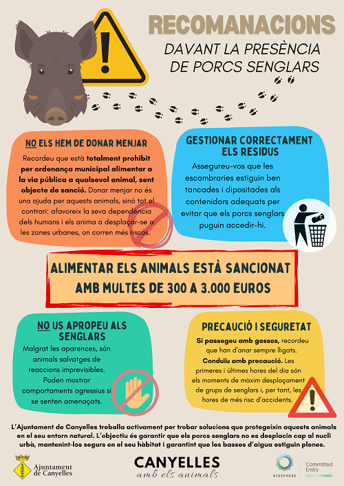 2025 recomanacions porcs senglars